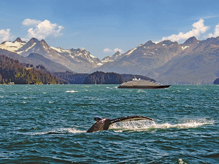 Humpback Whale in front of Scenic Eclipse