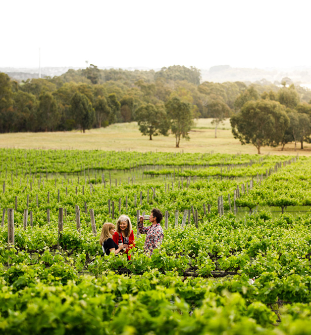 Enjoying wine at the Gemtree Vineyard