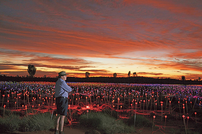 Scenic Enrich Field of Light Uluru Australia 