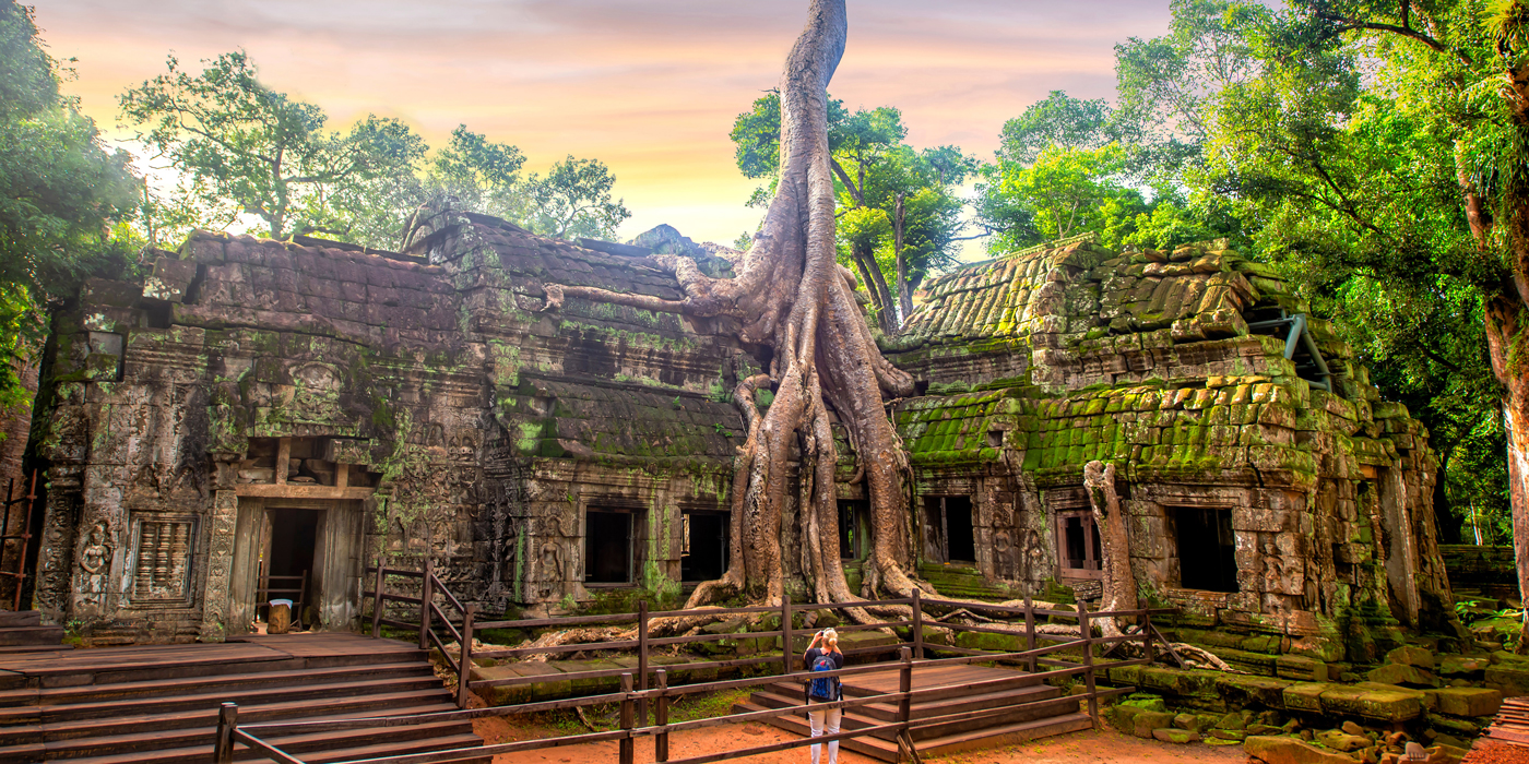 Ta Prohm Temple, Cambodia