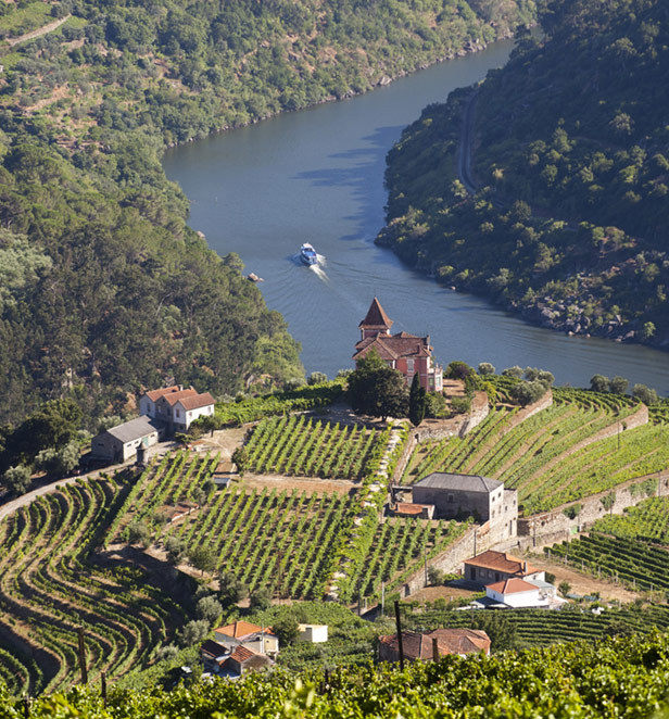Green vineyards and tall mountains alongside the Douro Valley, Portugal 