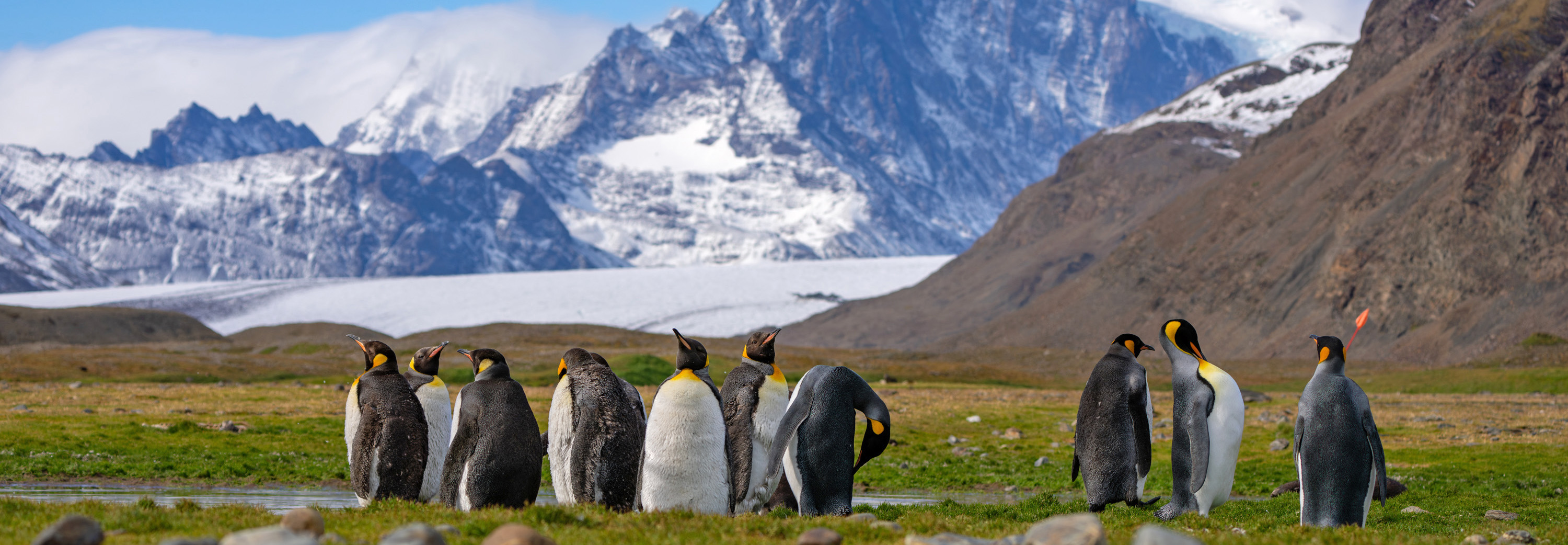 Spectacular vistas abound on South Georgia