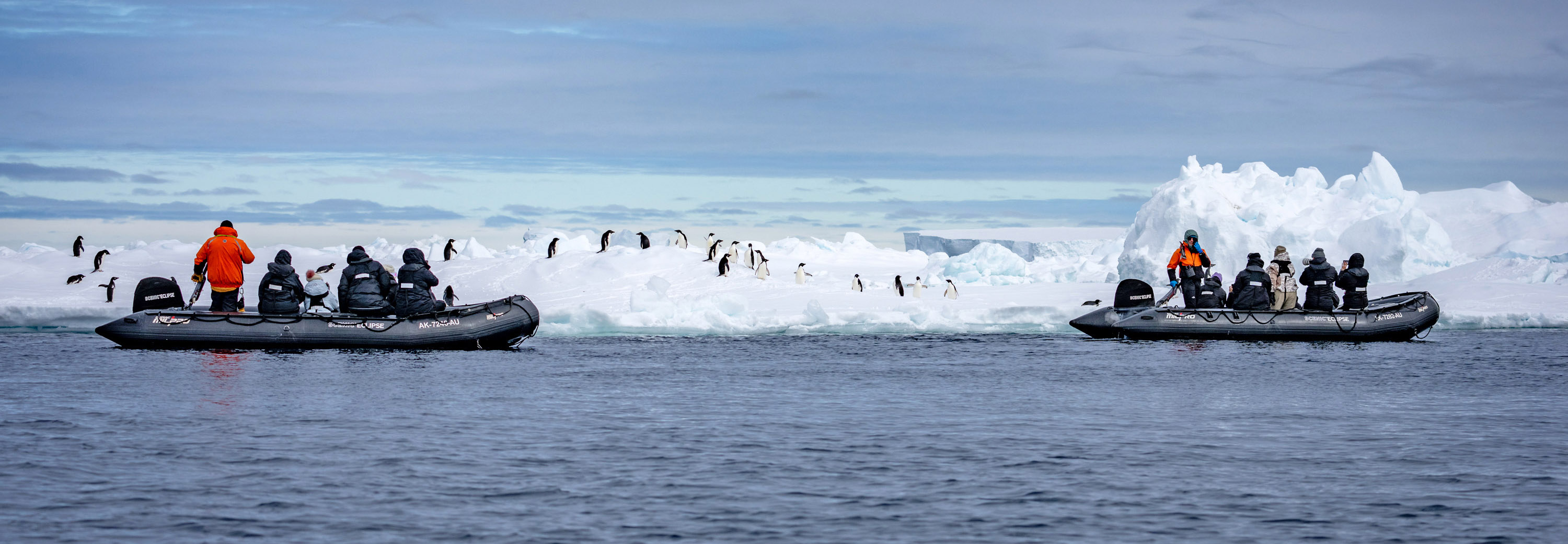 Experience Antarctica with zodiac tours and landings