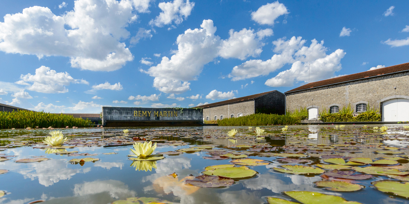 Remi Martin property lake