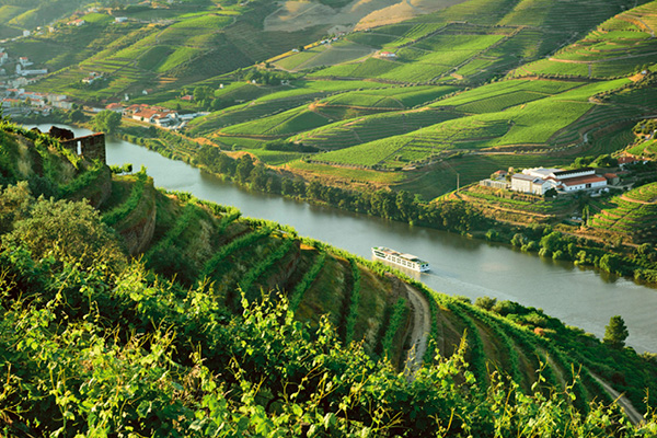 river cruises june 2024