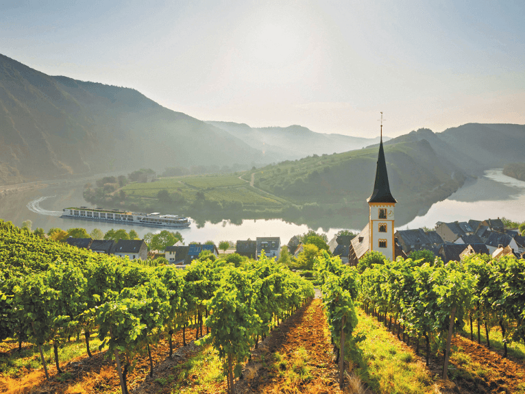Scenic Jasper cruising the Moselle Valley, Germany
