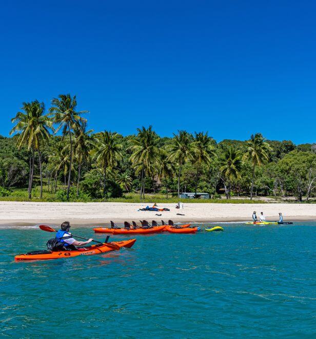 Kayaking near a tropical beach lined with palm trees